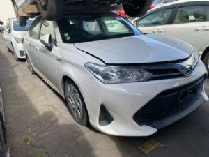 Toyota Axio NKE165